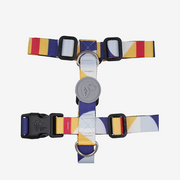 Geometric H Harness