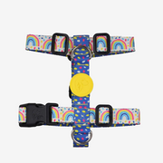 Rainbow H Harness