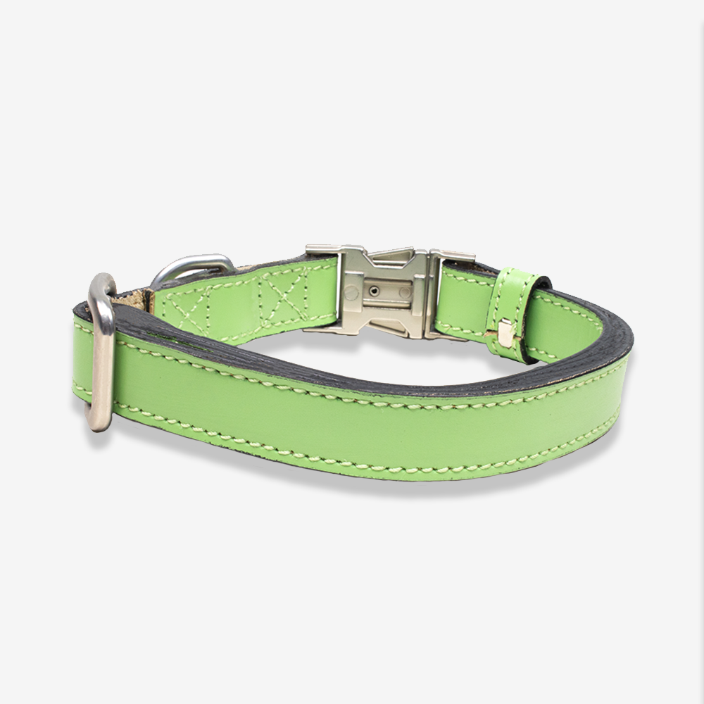 Vibrant collection of dog collars available in our online pet shop. Premium designer dog collar, now in stock at our online store. Puppy Collar. Leather collar.