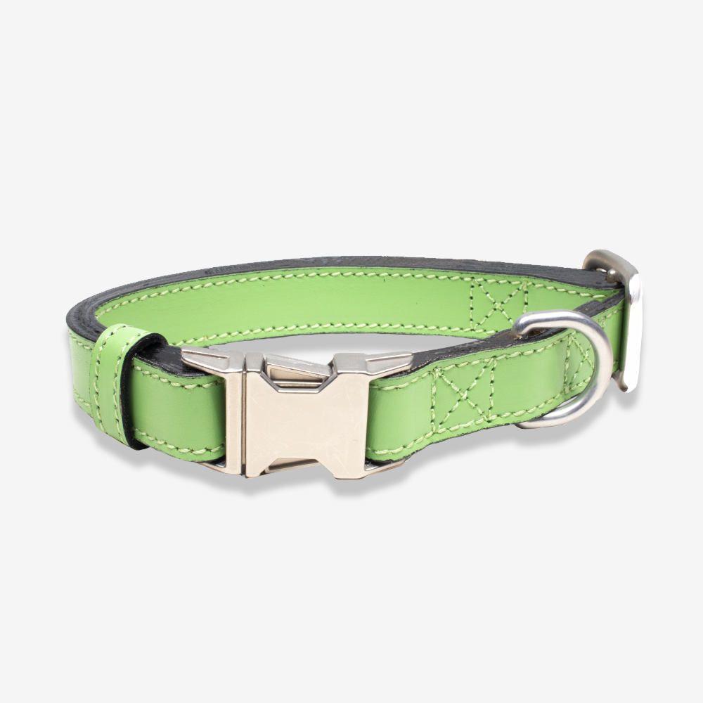 Vibrant collection of dog collars available in our online pet shop. Premium designer dog collar, now in stock at our online store. Puppy Collar. Leather collar.