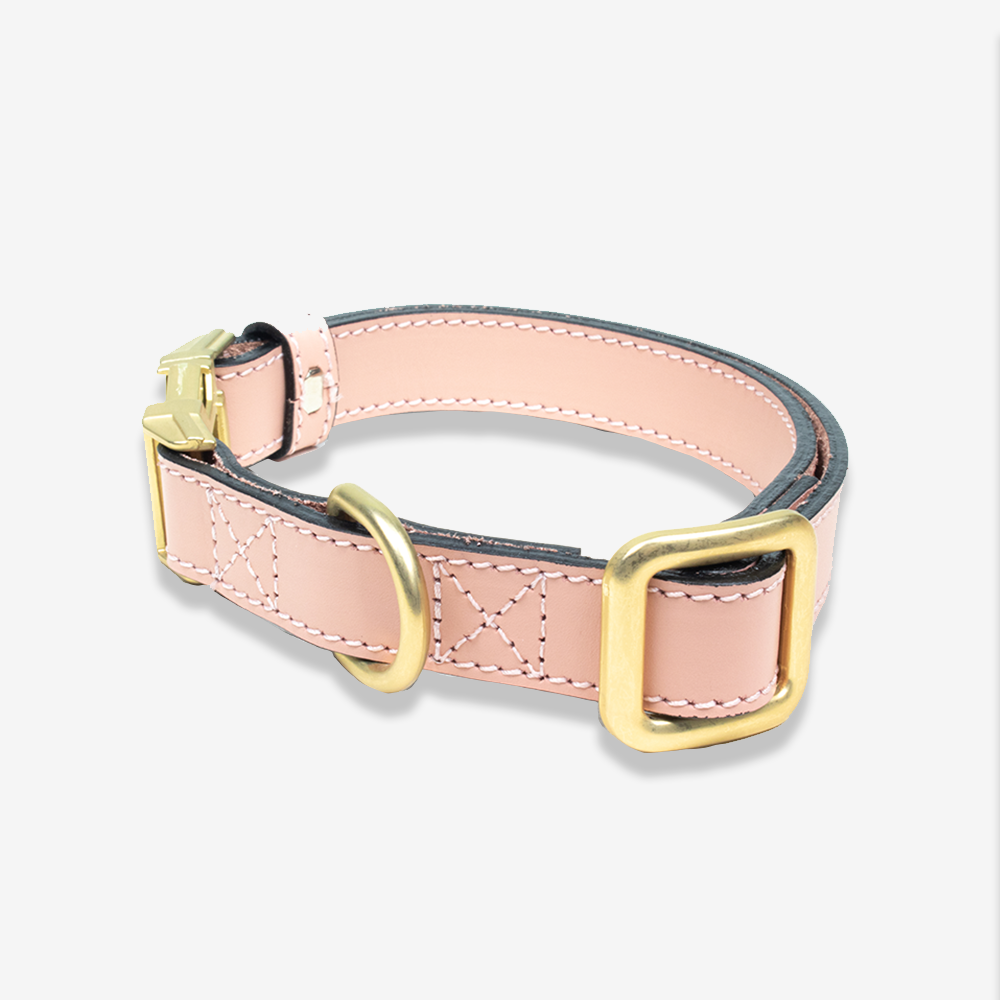 Rose gold dog sales collar and lead