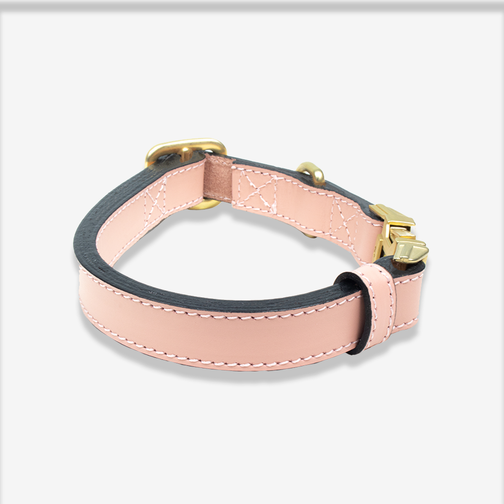 Leather Dog Collar - Royal Pink – Markedcorner