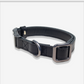 Vibrant collection of dog collars available in our online pet shop. Premium designer dog collar, now in stock at our online store. Puppy Collar. Leather collar.