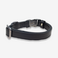 Vibrant collection of dog collars available in our online pet shop. Premium designer dog collar, now in stock at our online store. Puppy Collar. Leather collar.
