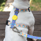   Perfect fit adjustable dog harness for training Labradors Durable, perfect fit leather dog harness designed for English Bulldogs, Cocker Spaniels, for active Border Collies,Terrier dog harness ensuring perfect control and fit, Colorful perfect fit dog harnesses for Jack Russell Terrier, French Bulldogs, for German Shepherds. Easy to use, step-in perfect fit dog harness for Boxer dogs. Premium perfect fit dog harness designed for the comfort of Golden Retrievers
