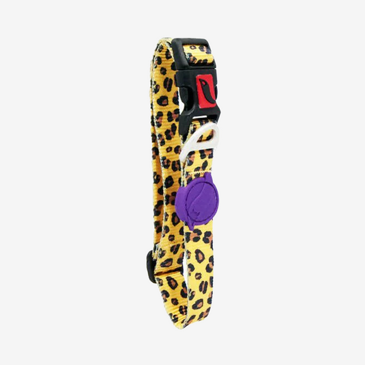 Vibrant collection of dog collars available in our online pet shop. Premium designer dog collar, now in stock at our online store. Puppy Collar. Leather collar.