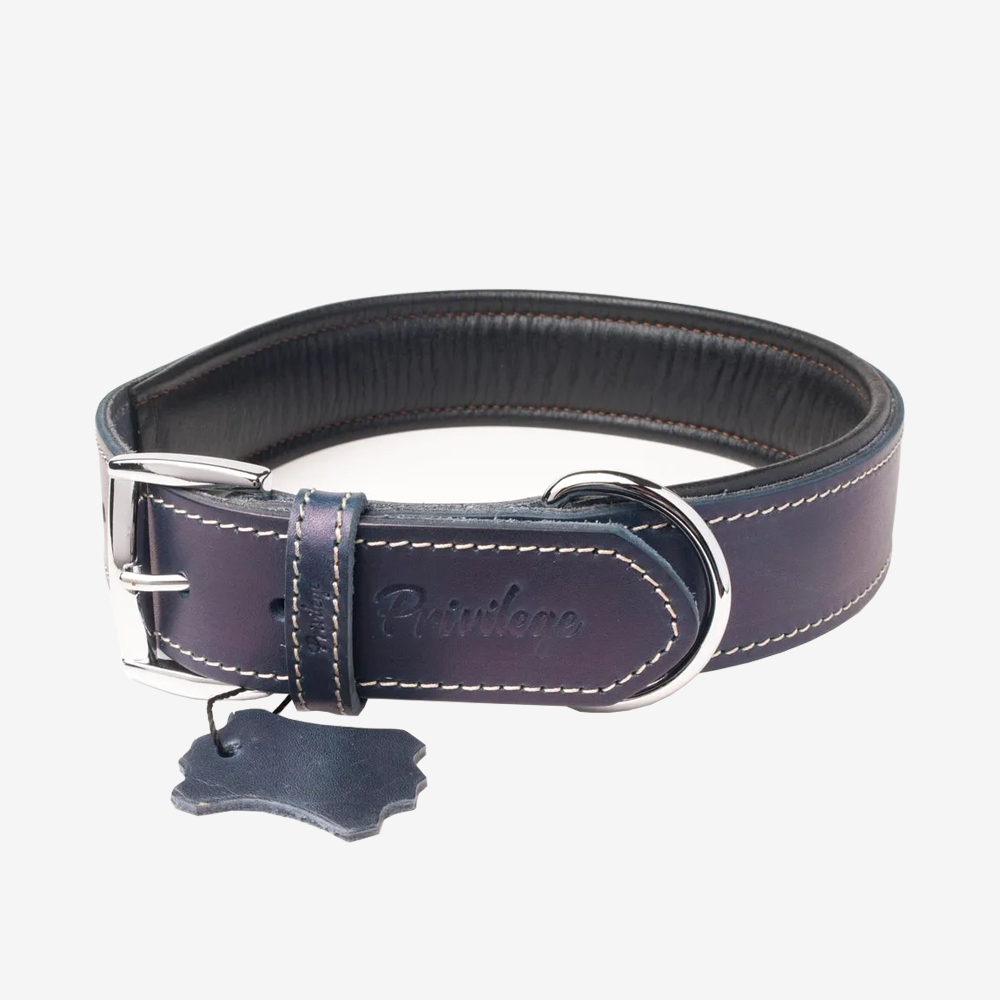 Vibrant collection of dog collars available in our online pet shop. Premium designer dog collar, now in stock at our online store. Puppy Collar. Leather collar.