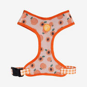 Peachy Air Mesh Harness