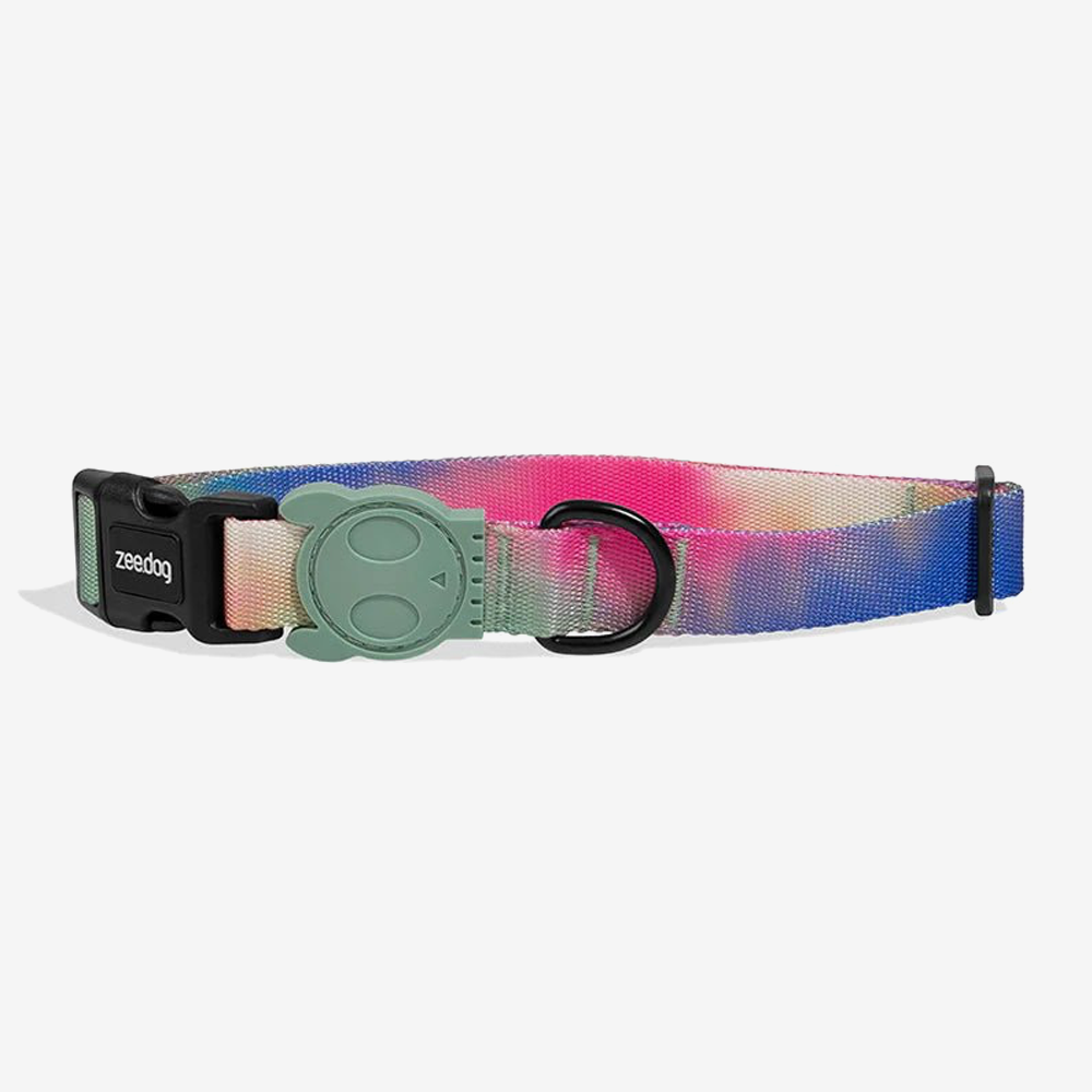 Vibrant collection of dog collars available in our online pet shop. Premium designer dog collar, now in stock at our online store. Puppy Collar. Zee.Dog Collar. ZeeDog collar.