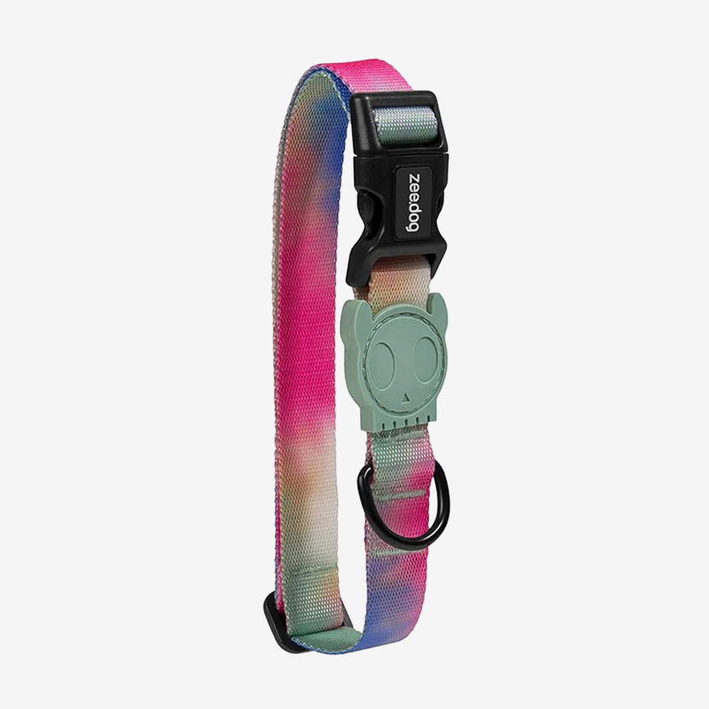 Vibrant collection of dog collars available in our online pet shop. Premium designer dog collar, now in stock at our online store. Puppy Collar. Zee.Dog Collar. ZeeDog collar.