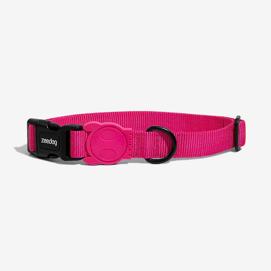 Vibrant collection of dog collars available in our online pet shop. Premium designer dog collar, now in stock at our online store. Puppy Collar. Zee.Dog collar. 