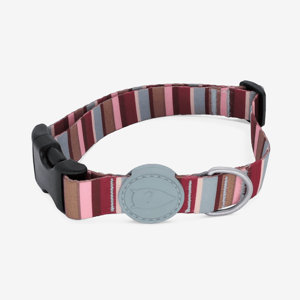 Vibrant collection of dog collars available in our online pet shop. Premium designer dog collar, now in stock at our online store. Puppy collar. Dog Collar.