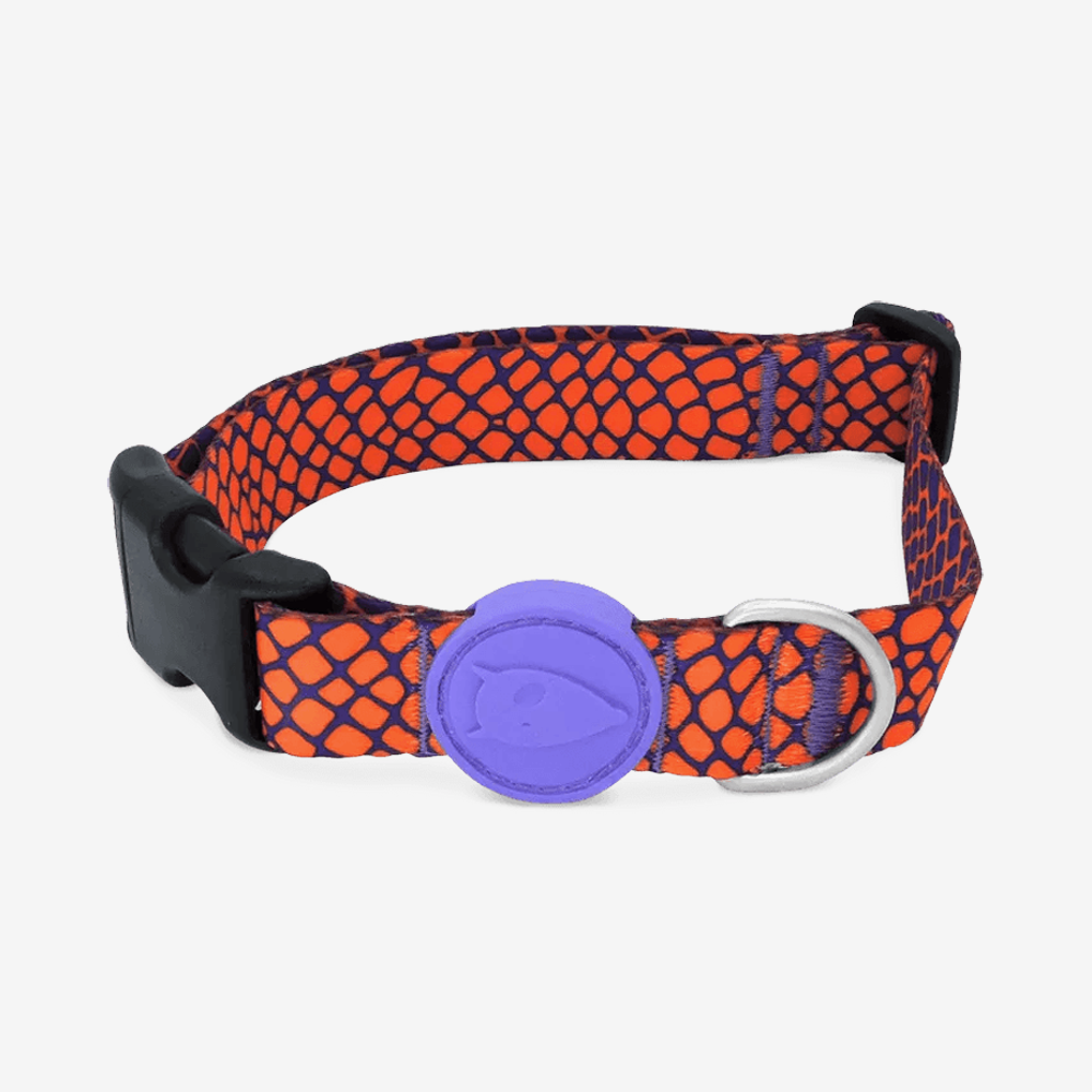 Vibrant collection of dog collars available in our online pet shop. Premium designer dog collar, now in stock at our online store. Puppy collar. Dog Collar. 