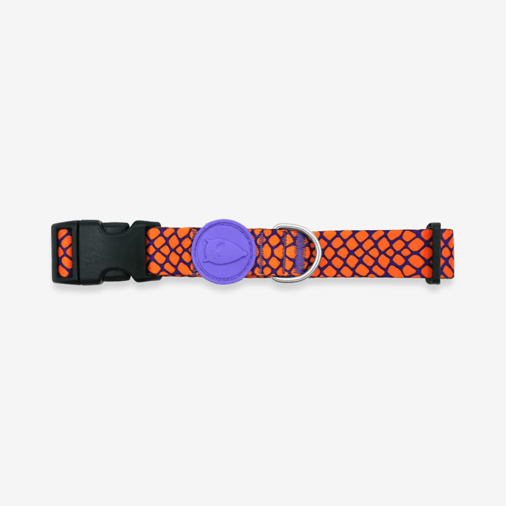 Vibrant collection of dog collars available in our online pet shop. Premium designer dog collar, now in stock at our online store. Puppy collar. Dog Collar. 