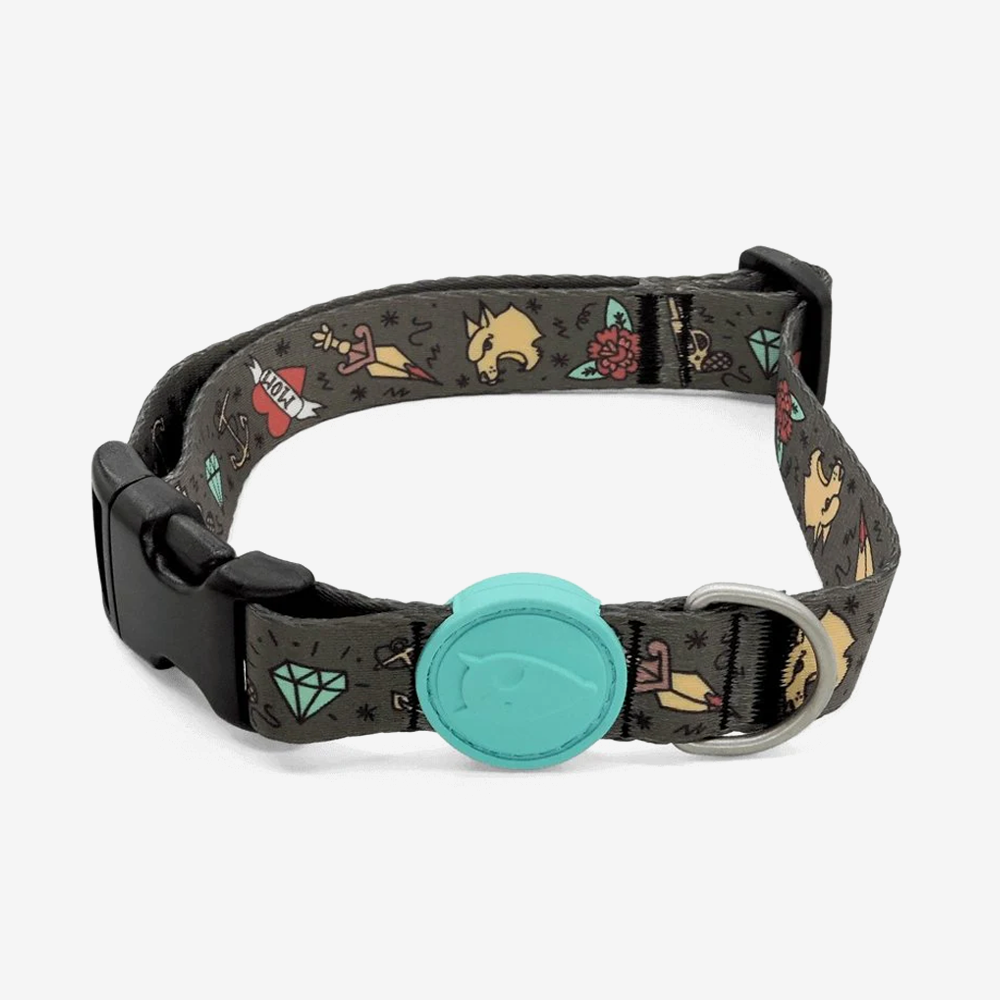 Vibrant collection of dog collars available in our online pet shop. Premium designer dog collar, now in stock at our online store. Puppy Collar.