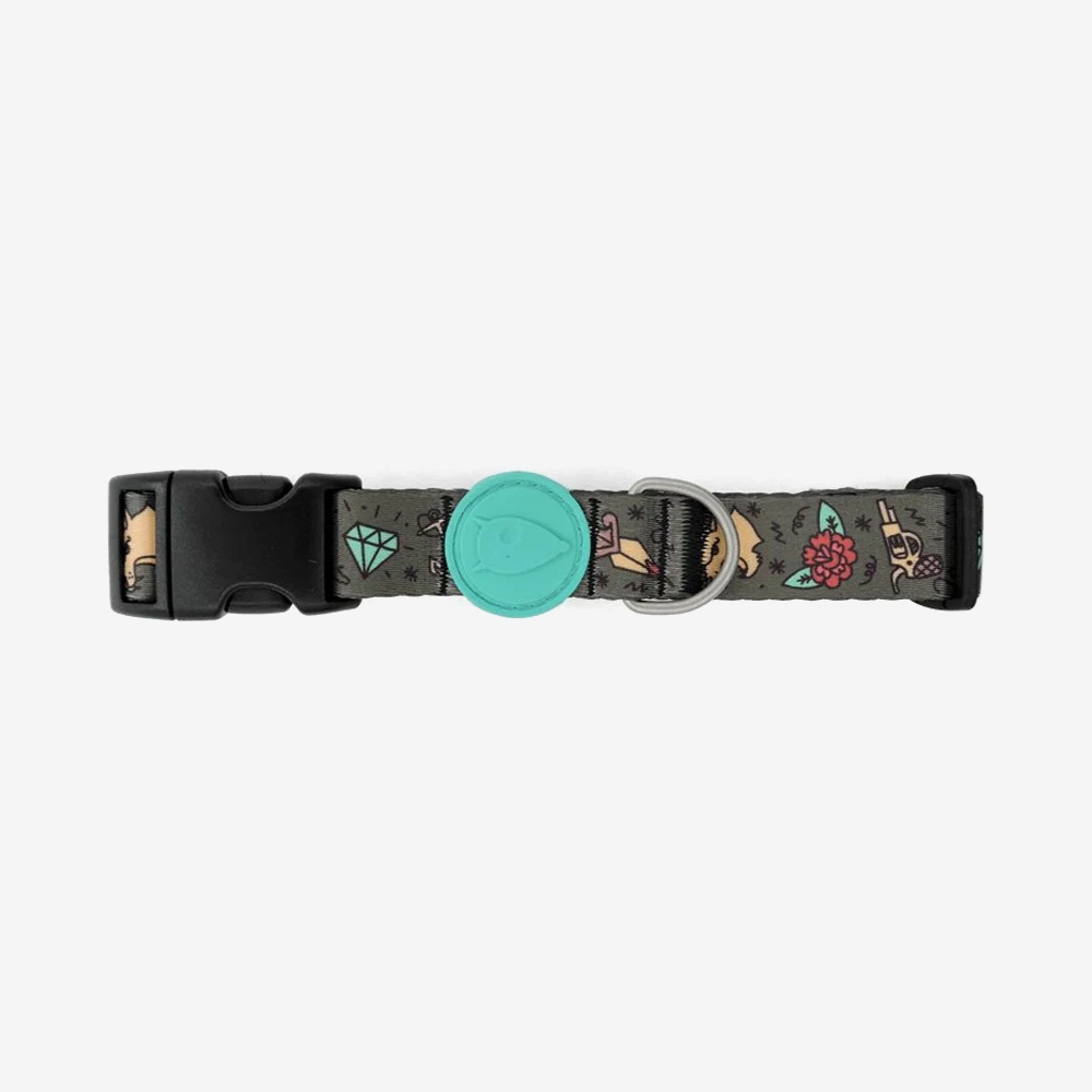Vibrant collection of dog collars available in our online pet shop. Premium designer dog collar, now in stock at our online store. Puppy Collar. Leather Collar.