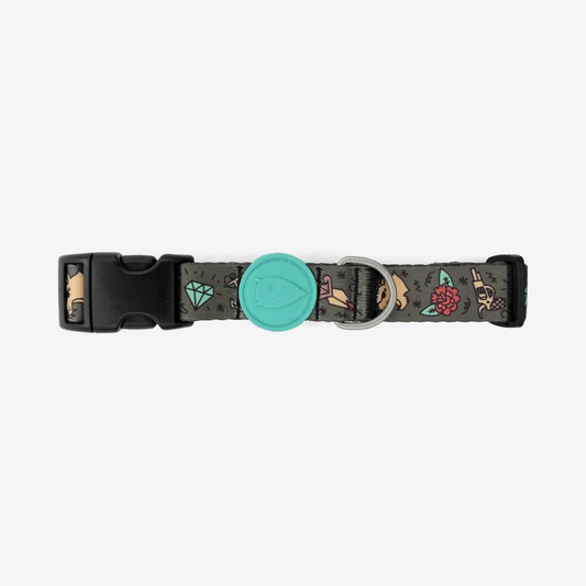 Vibrant collection of dog collars available in our online pet shop. Premium designer dog collar, now in stock at our online store. Puppy Collar. Leather Collar.