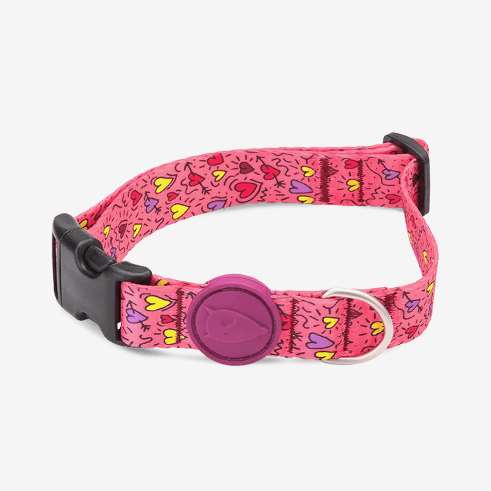 Vibrant collection of dog collars available in our online pet shop. Premium designer dog collar, now in stock at our online store. Puppy Collar. 