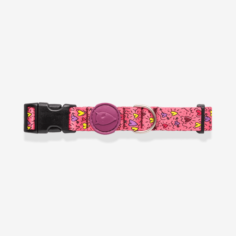 Vibrant collection of dog collars available in our online pet shop. Premium designer dog collar, now in stock at our online store. Puppy Collar. 