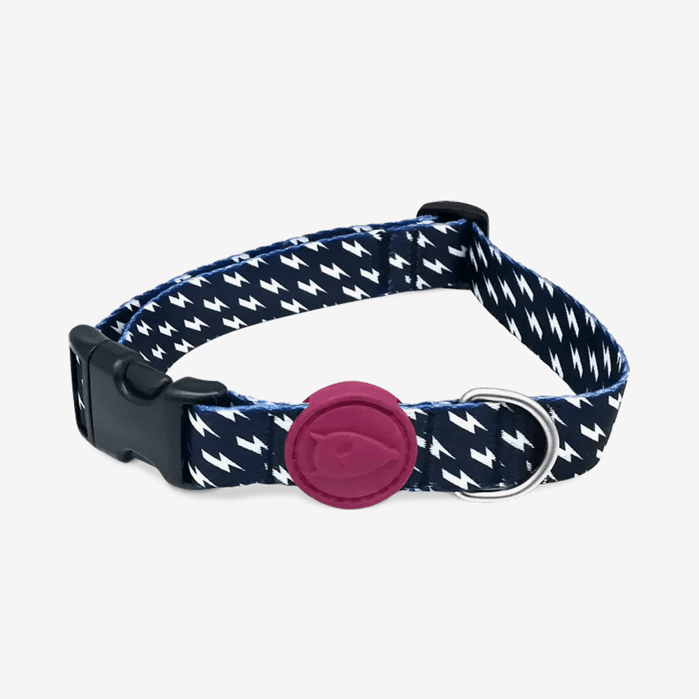 Vibrant collection of dog collars available in our online pet shop. Premium designer dog collar, now in stock at our online store. Puppy Collar. 