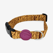 Jungle Drum Dog Collar