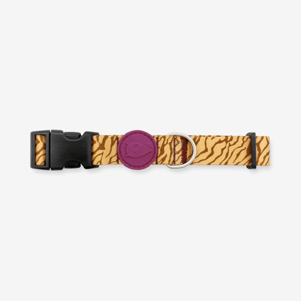 Vibrant collection of dog collars available in our online pet shop. Premium designer dog collar, now in stock at our online store. Puppy Collar.