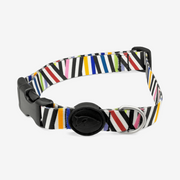 Spaghetti Incident Dog Collar