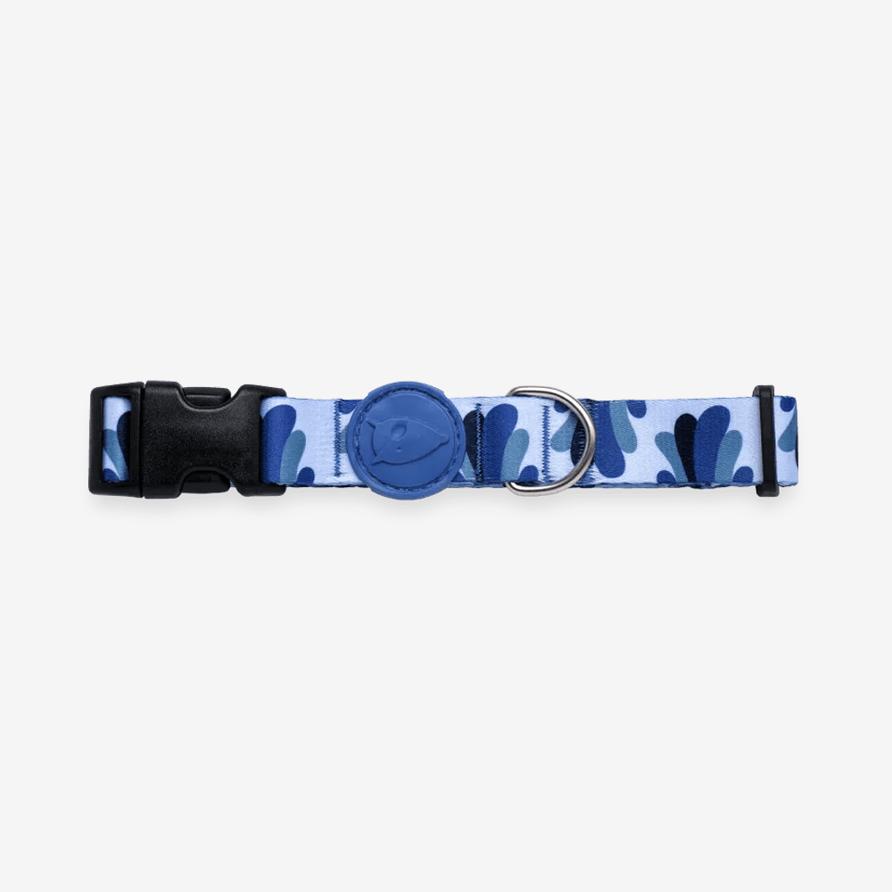 Vibrant collection of dog collars available in our online pet shop. Premium designer dog collar, now in stock at our online store. Puppy collar. Dog Collar.