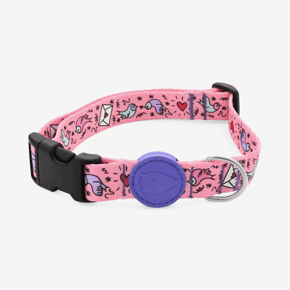 Vibrant collection of dog collars available in our online pet shop. Premium designer dog collar, now in stock at our online store. Puppy collar. Dog Collar.