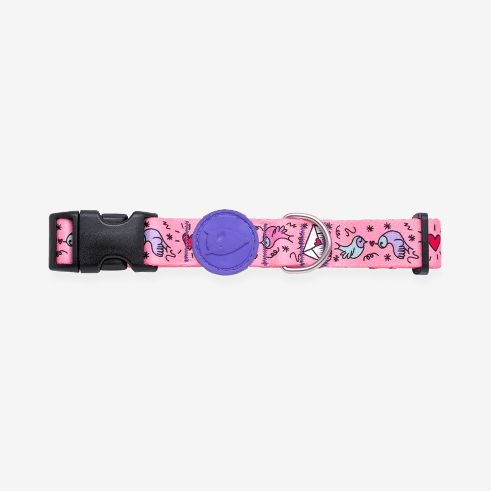 Vibrant collection of dog collars available in our online pet shop. Premium designer dog collar, now in stock at our online store. Puppy collar. Dog Collar.