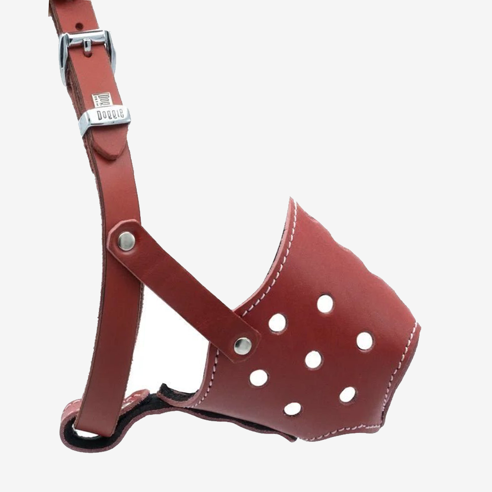 Short Nosed Leather Dog Muzzle - Red