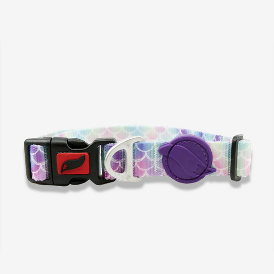Vibrant collection of dog collars available in our online pet shop. Premium designer dog collar, now in stock at our online store. Puppy Collar.