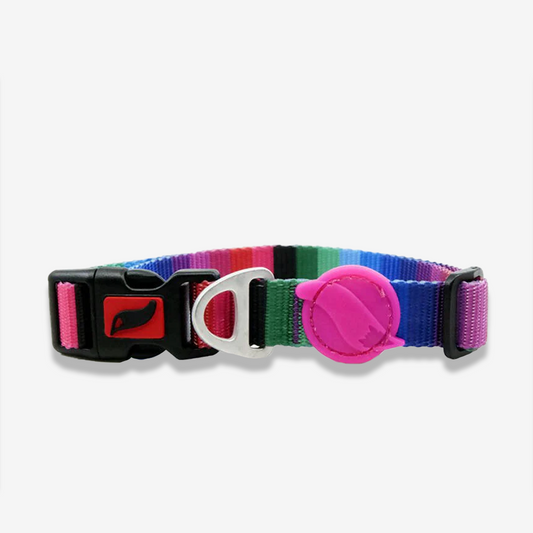 Vibrant collection of dog collars available in our online pet shop. Premium designer dog collar, now in stock at our online store. Puppy collar. Dog Collar. 