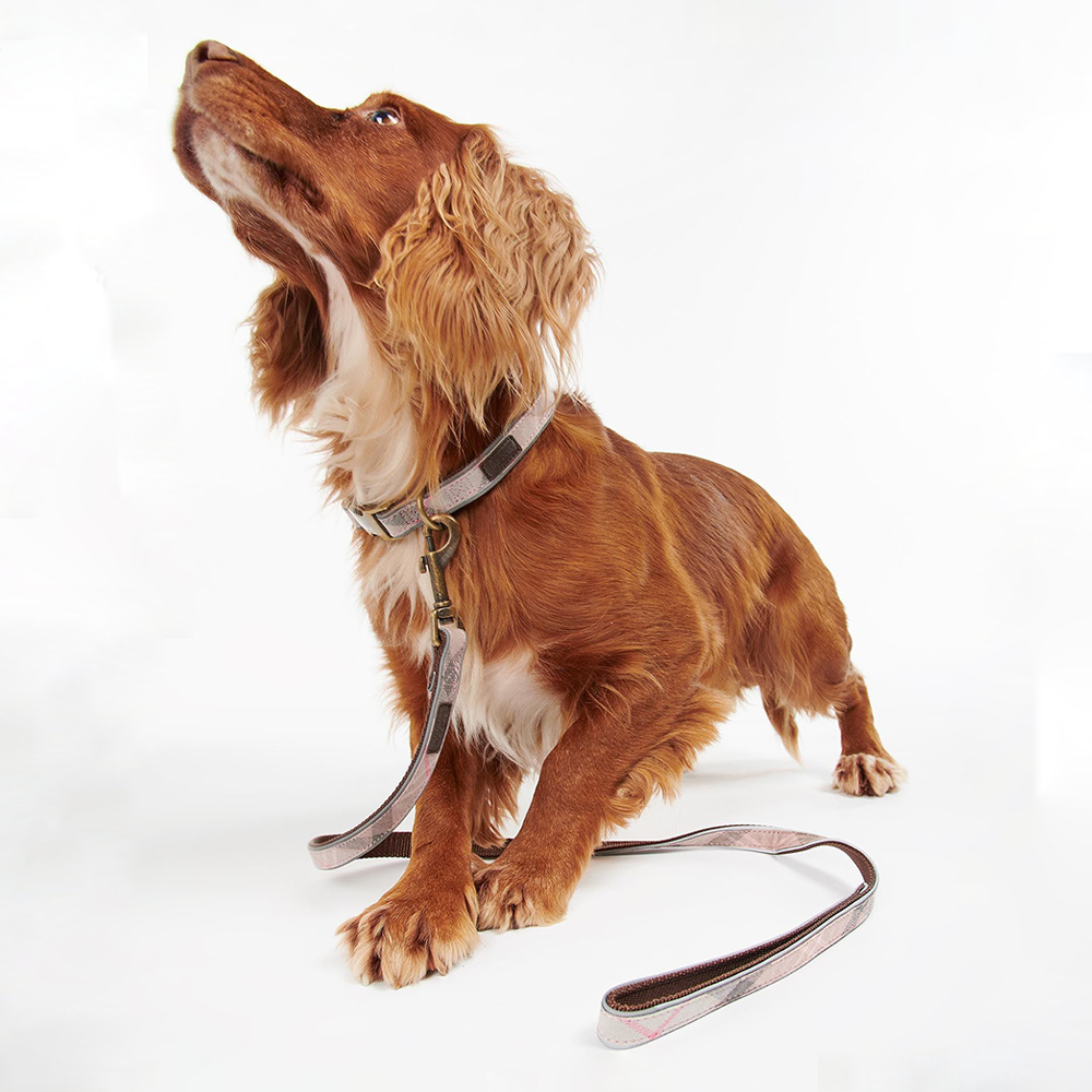 Barbour pink tartan dog collar deals