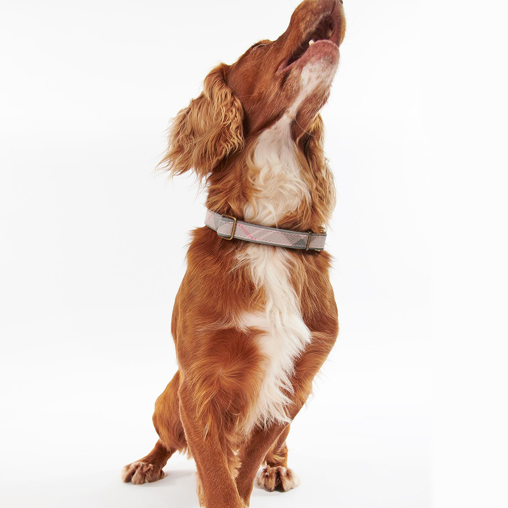 Barbour online collar pink