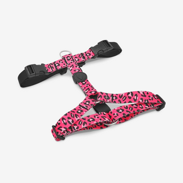   Perfect fit adjustable dog harness for training Labradors Durable, perfect fit leather dog harness designed for English Bulldogs, Cocker Spaniels, for active Border Collies,Terrier dog harness ensuring perfect control and fit, Colorful perfect fit dog harnesses for Jack Russell Terrier, French Bulldogs, for German Shepherds. Easy to use, step-in perfect fit dog harness for Boxer dogs. Premium perfect fit dog harness designed for the comfort of Golden Retrievers
