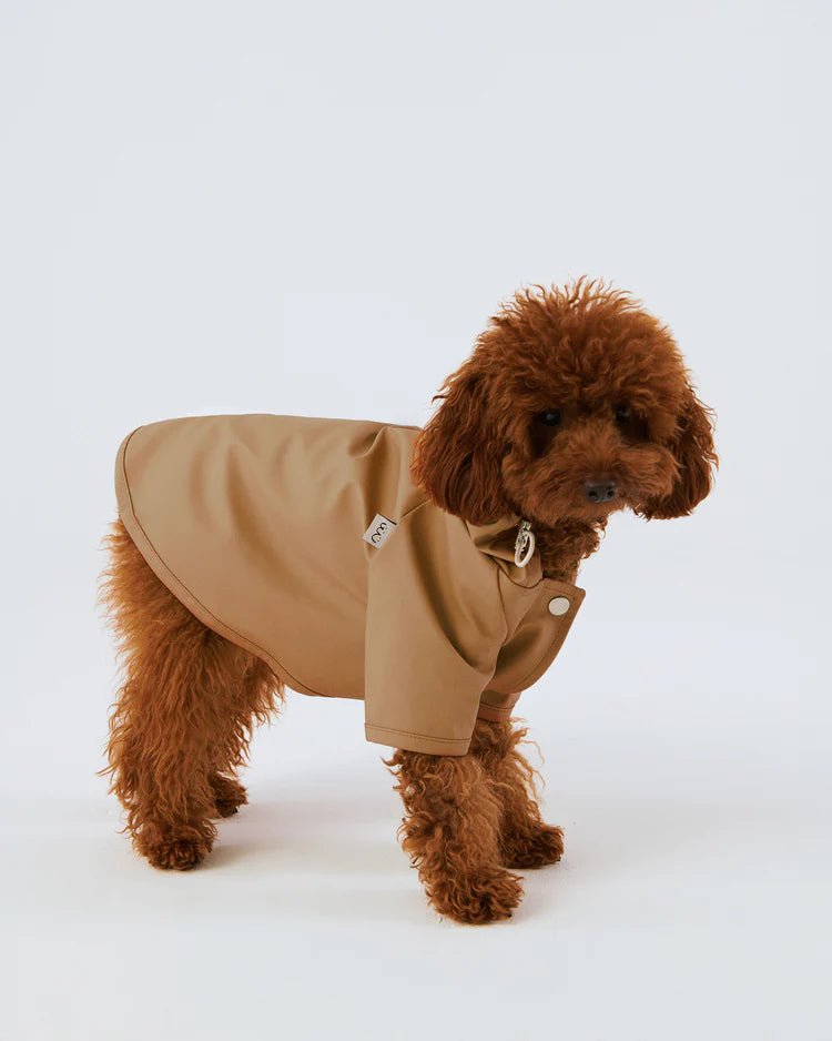 Comfort coat for deals dogs