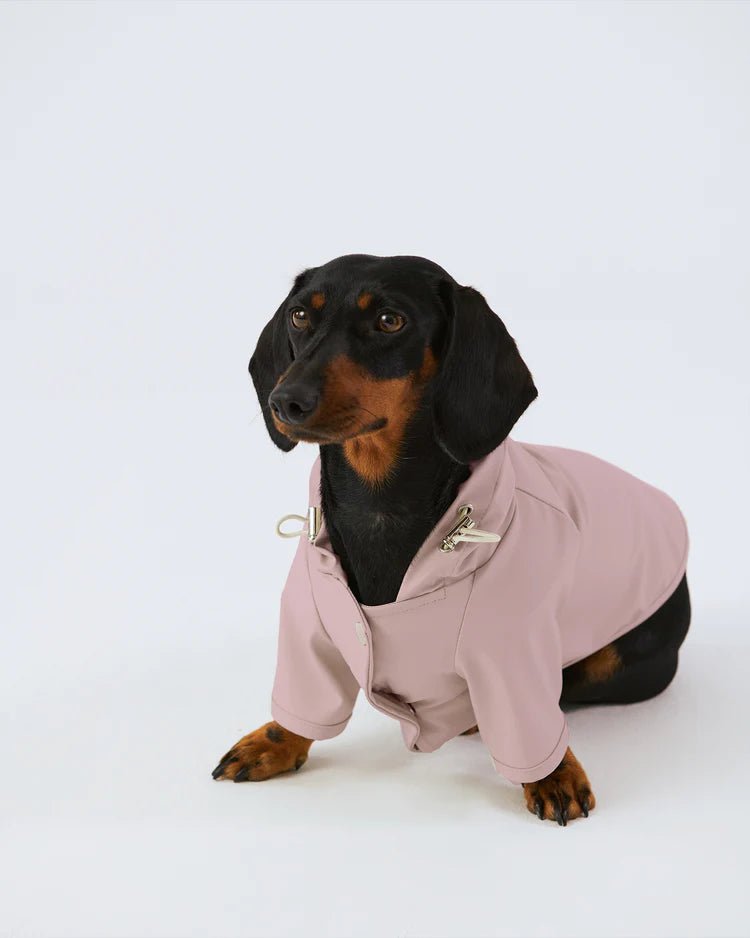 Soft, perfect fit dog pajamas providing comfort for Border Collies. Perfect fit waterproof raincoat for English Bulldogs to enjoy walks in any weather. Perfect fit dog hoodie, keeping French Bulldogs warm and stylish. Cool and perfect fit summer vest for Boxer dogs. Luxury, perfect fit dog tuxedo designed for Golden Retrievers attending special events. Collection of perfect fit dog clothing for popular UK breeds like the Jack Russell Terrier