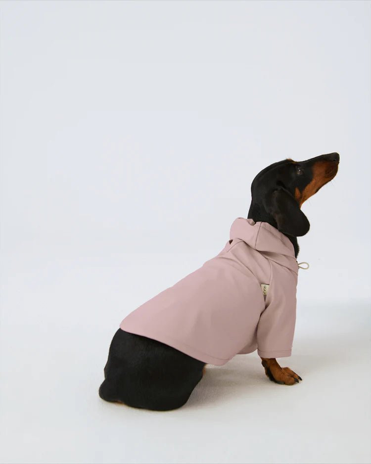 Soft, perfect fit dog pajamas providing comfort for Border Collies. Perfect fit waterproof raincoat for English Bulldogs to enjoy walks in any weather. Perfect fit dog hoodie, keeping French Bulldogs warm and stylish. Cool and perfect fit summer vest for Boxer dogs. Luxury, perfect fit dog tuxedo designed for Golden Retrievers attending special events. Collection of perfect fit dog clothing for popular UK breeds like the Jack Russell Terrier