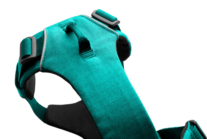 Front Range Dog Harness - Aurora Teal - Ruffwear - Collar