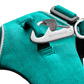 Front Range Dog Harness - Aurora Teal - Ruffwear - Collar