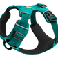 Front Range Dog Harness - Aurora Teal - Ruffwear - Collar