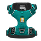 Front Range Dog Harness - Aurora Teal - Ruffwear - Collar