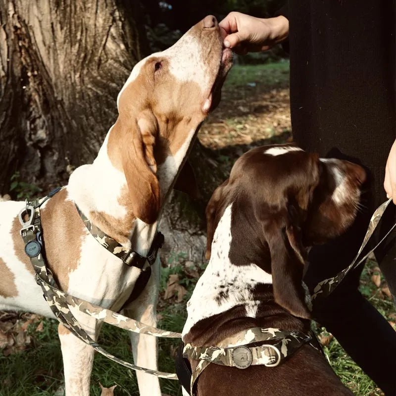Full Metal Dog Multi Purpose Dog Lead