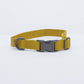 Vibrant collection of dog collars available in our online pet shop. Premium designer dog collar, now in stock at our online store. Puppy Collar. Leather collar.