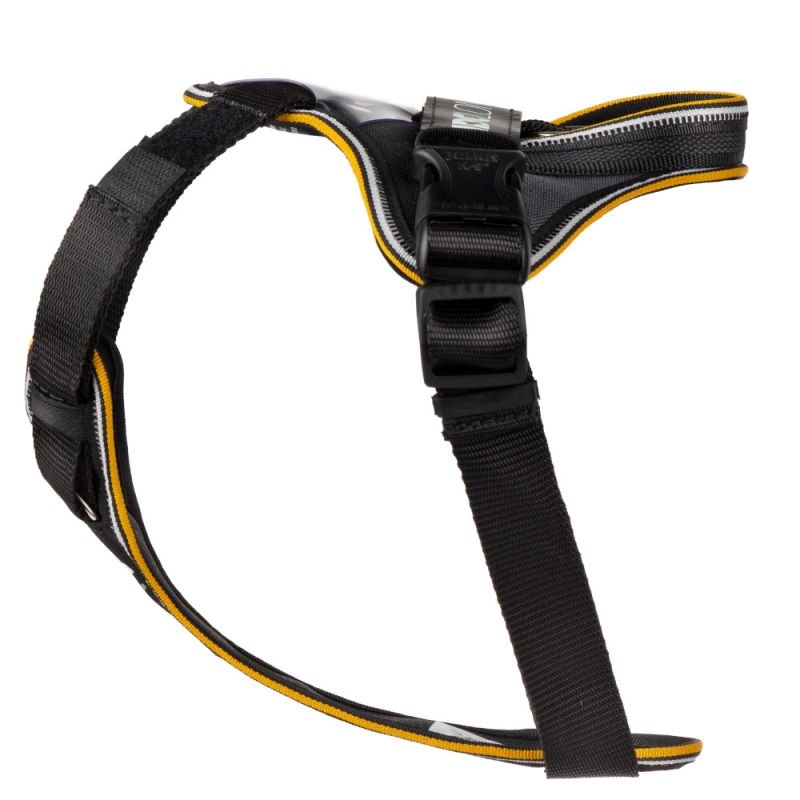 Longwalk Harness - JULIUS-K9 -