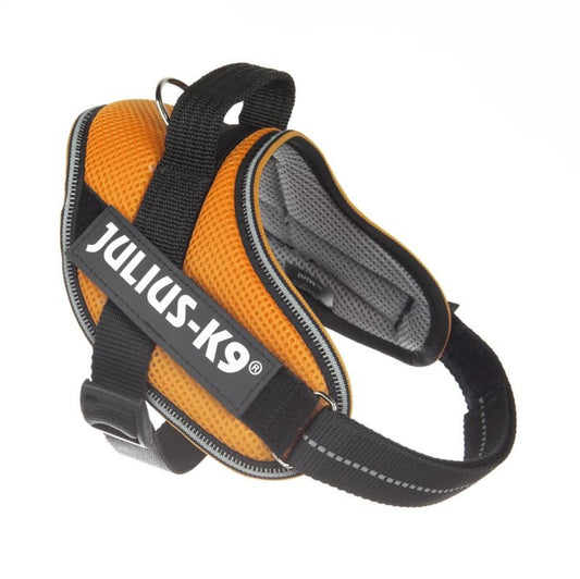 Powair Harness - Orange - JULIUS-K9 -