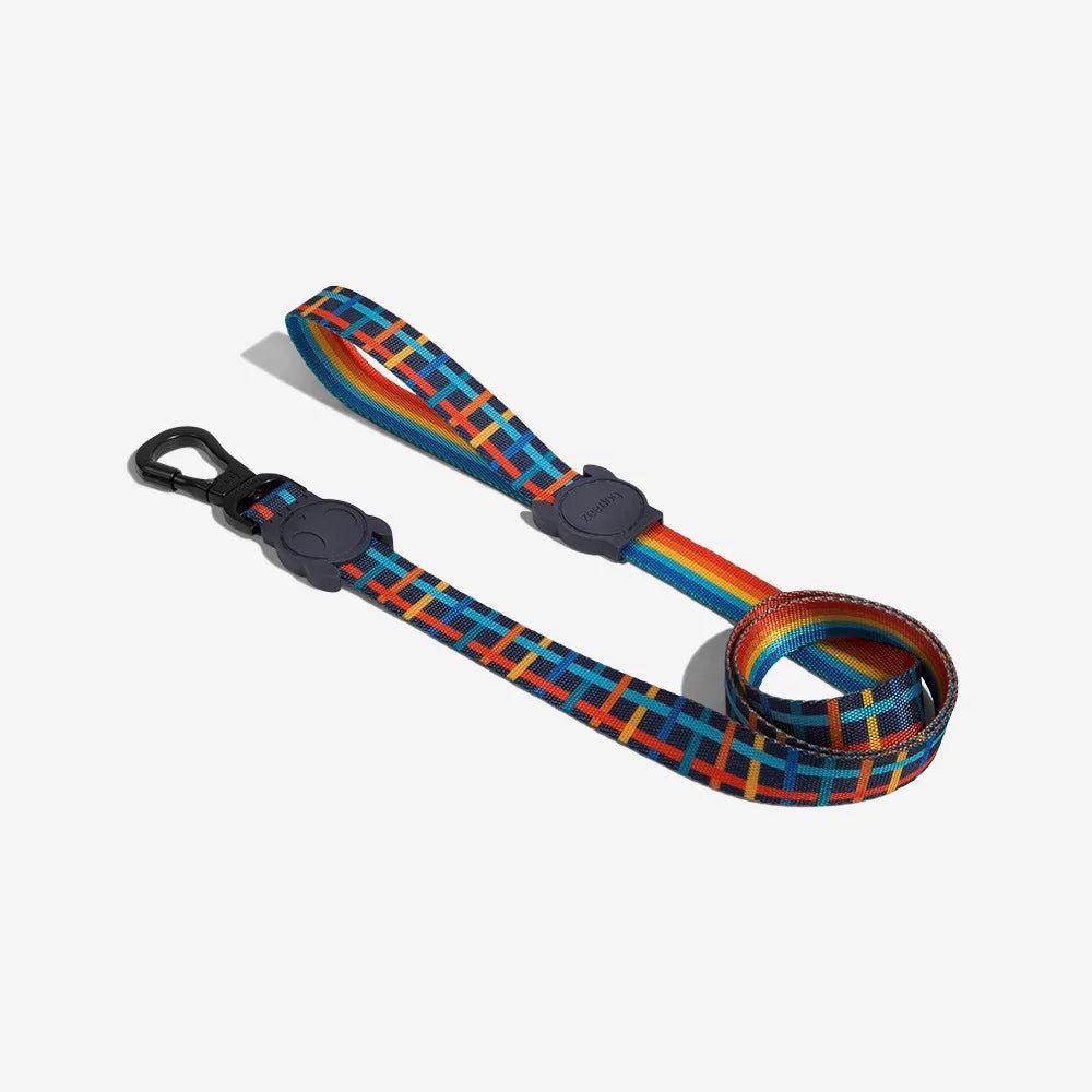 Dog leashes dog leads for Labradors Durable, for English Bulldogs, Cocker Spaniels, for active Border Collies,Terrier dog harness ensuring perfect control and fit, Colorful dog leads dog leashes for Jack Russell Terrier, French Bulldogs, for German Shepherds. Easy to use, for Boxer dogs. Premium dog leads dog leashes designed for the comfort of Golden Retrievers