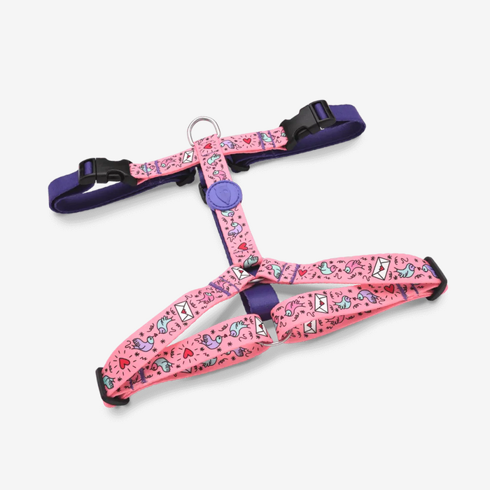 Sweet Tweet H-Harness