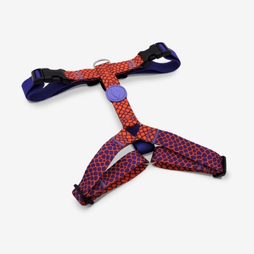 Urban Lizard H-Harness